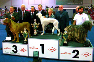 CH Dakira Sawahin wird bester Hund (Best-in-Show) der Bundessieger-Zuchtschau 2007. Foto: Bettina Zinn